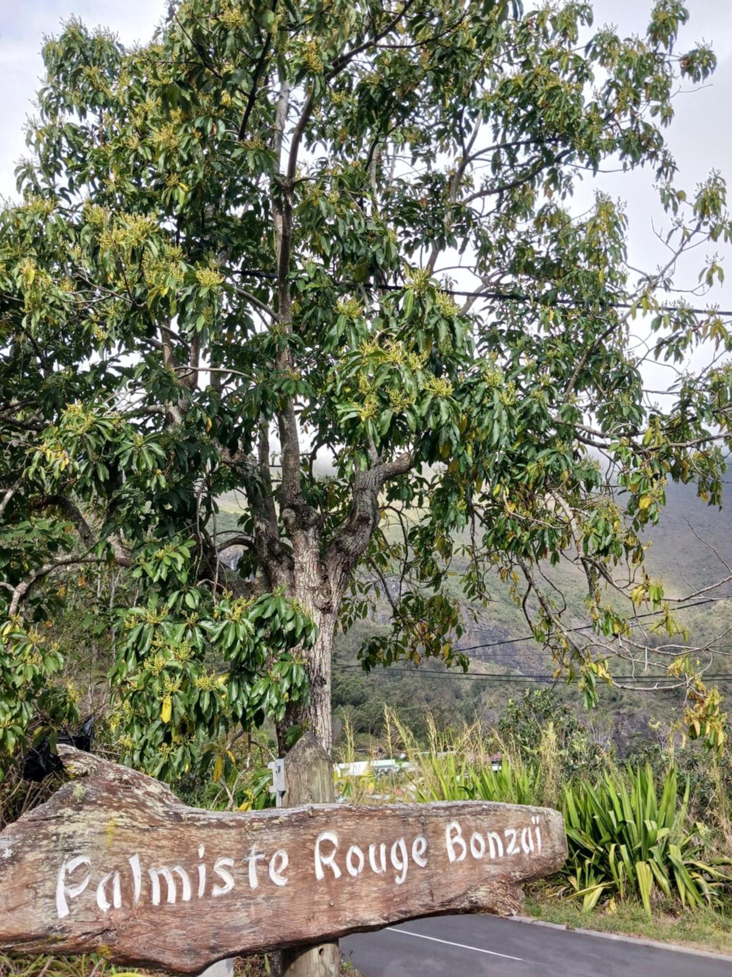 סילאוס Auberge Du Cap מראה חיצוני תמונה